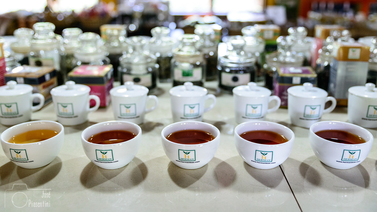 Handunugoda tea factory, Sri Lanka