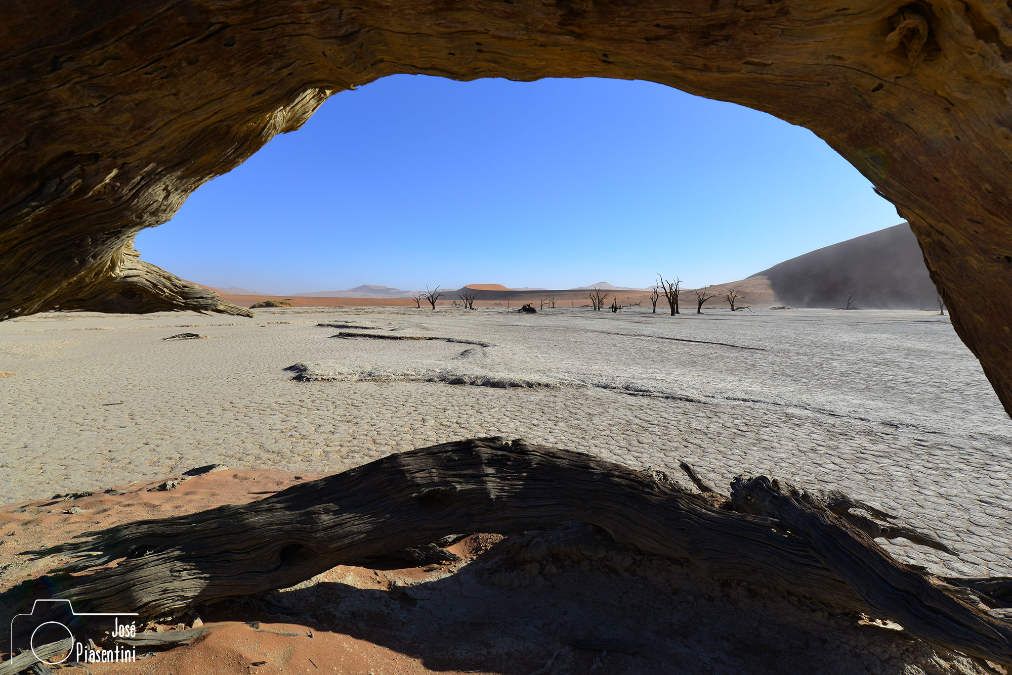 Deadvlei desert Namib