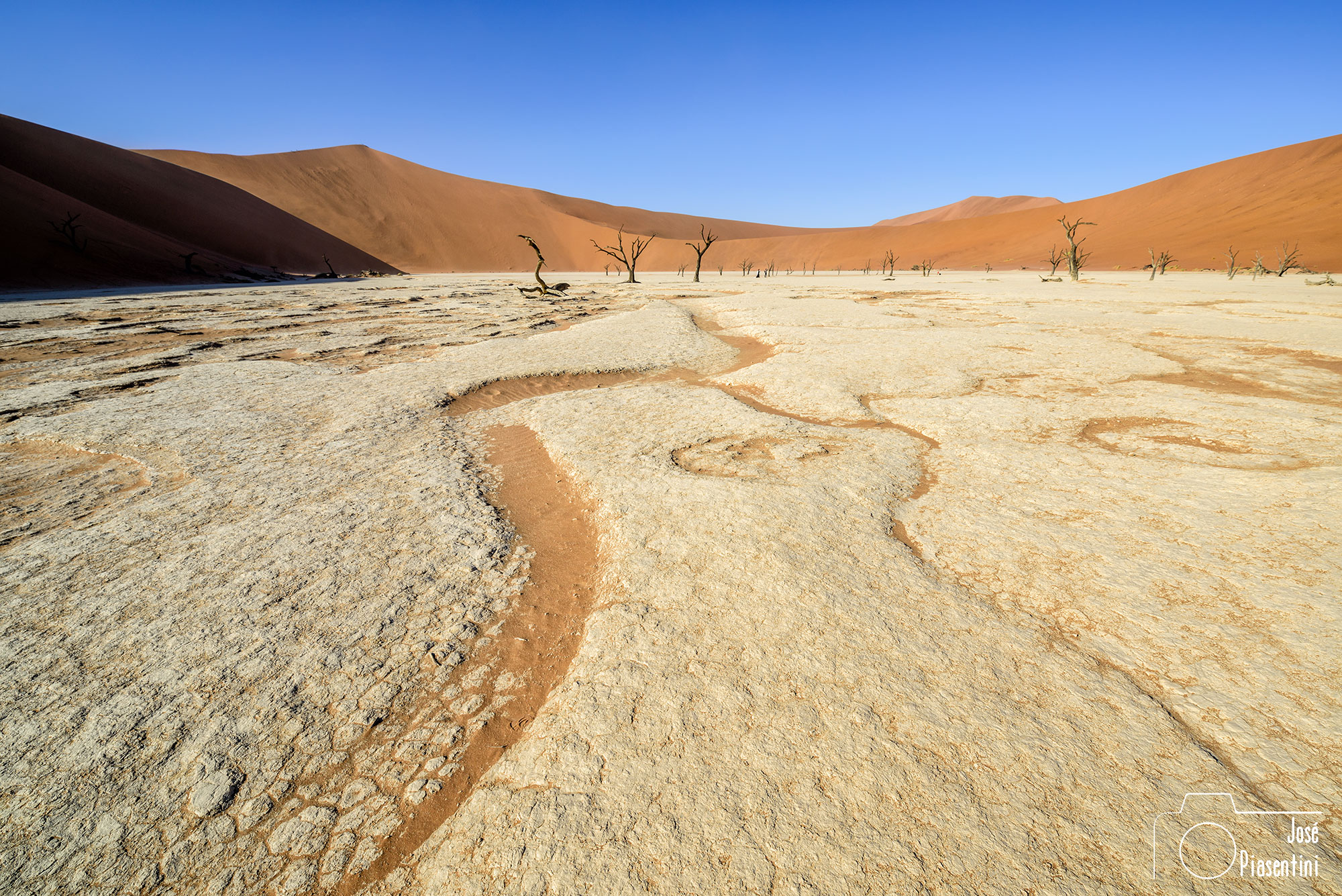 Namib Desert Deadvlei
