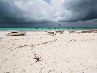 Como llegar a Muyuni Beach en Zanzibar