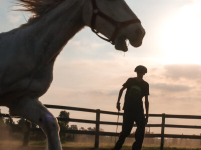 Actividades con caballos en Magical Ranch